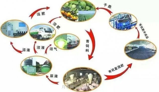 中国生态农业的主要模式(图3)
