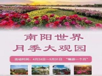 第十二届南阳月季花会4月29日开幕，活动丰富多彩