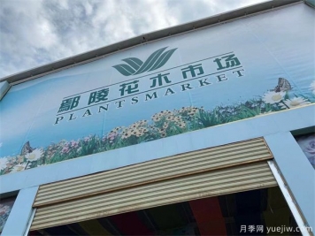 鄢陵县花木产业未必能想到的那些问题
