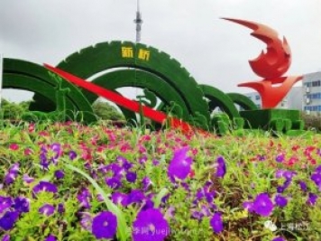 上海松江这里的花坛、花境“上新”啦!特色景观升级!