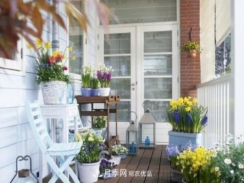 上海发布《窗阳台绿化推荐植物名录》，月季花在列，好不好养来看看